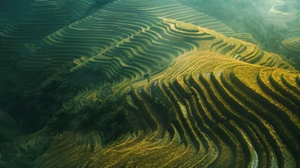 Papier Peint photo Rizières A stunning aerial view of a field of rice terraces. Perfect for agricultural or landscape concepts