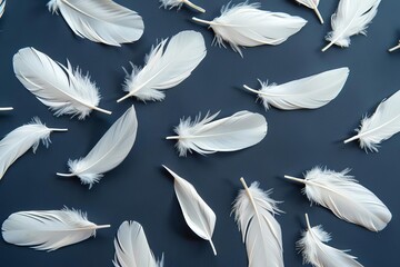 White feathers background symbolizing peace Spirituality And purity Ideal for concepts related to tranquility and divine protection