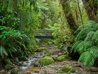 Brücke über einem Bach, Oparara Basin, Kahurangi Nationalpark, West Coast, Südinsel, Neuseeland, Ozeanien - obrazy, fototapety, plakaty