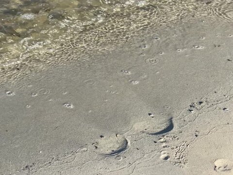 the waves of the river wash away the footprints on the sand