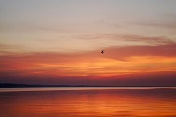 sunset on the beach. sunset on the sea. kite surfing at sunset.
