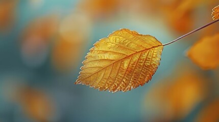 Obraz premium A macro shot captures the delicate edge of a golden leaf against a soft, blurred autumn background.