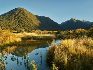 Waimakariri Valley, Arthur's Pass Nationalpark, Canterbury, Südinsel, Neuseeland, Ozeanien