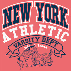 collection of collegiate or varsity style designs, with patches and numbers alluding to sports, cities, number of players, and student mascots, urban touches and modern and attractive colors.