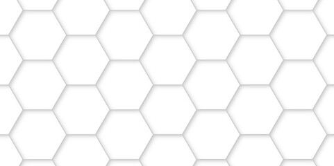 Abstract background with white hexagons and seamless pattern in vector design . luxury white pattern geometric mesh cell texture .hexagon 3d background texture design .