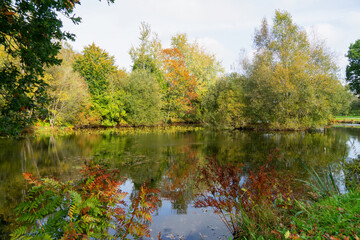 Petit étang en Bretagne, entouré d'arbres aux couleurs automnales, avec un îlot central arboré, créant un tableau enchanteur de la nature.