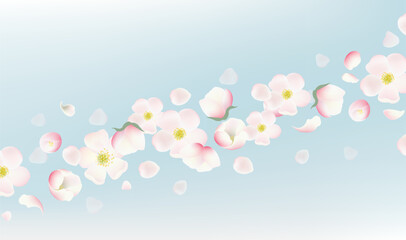 spring background with flowers