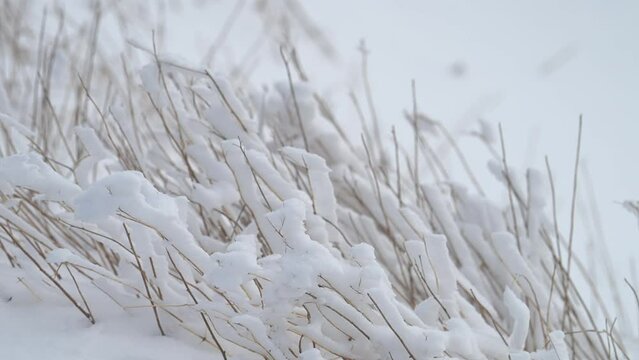 ESCURSIONE SULLA NEVE