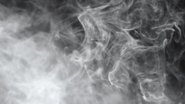Smoke.
This stock motion graphics video shows smoke billowing in a curved motion.