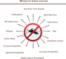 Mosquito borne disease infographics: Zika, West Nile virus, dengue, yellow fever, malaria
