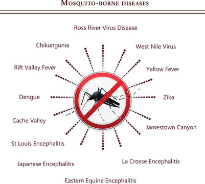 Mosquito borne disease infographics of USA