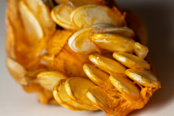 Pumpkin inside fresh pumpkin seeds in shells