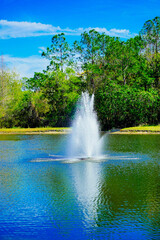 Obraz premium A Florida community pond in spring