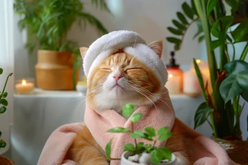 Papier Peint photo autocollant Spa Cat relaxing in spa bath with candles and green plants. Cute cat in a turban on spa treatments. Beauty procedures, wellness, beauty, relaxation concept. Pet grooming, domestic pets treatment