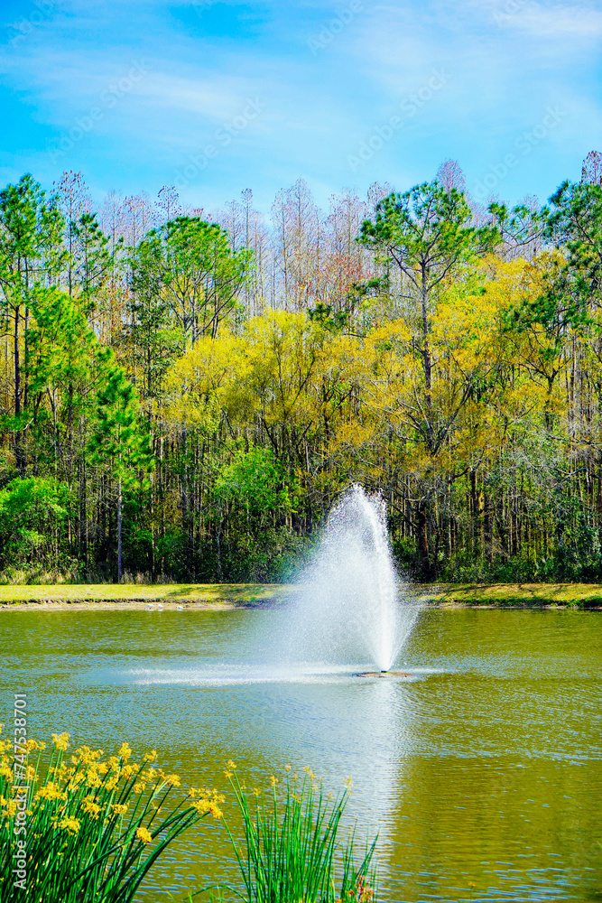 Poster a florida community pond in spring