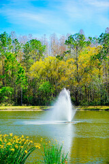 Naklejka premium A Florida community pond in spring