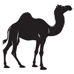 Vintage Retro Styled Vector  camel Silhouette Black and White - illustration