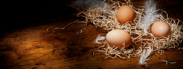 eggs from farm - 747542563