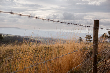 Obraz premium fence in the yellow grass field in countryside rural area with clouds in the sky