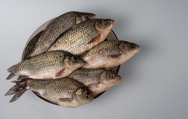 Fresh crucians lying on a plate, on a gray background. Freshwater fish.