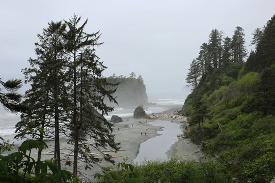 Ruby Beach, Washington, Pacific Northwest, Coast, PNW, Ocean, Beach, Moody, Foggy