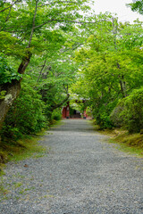 京都鷹峯常照寺の参道
