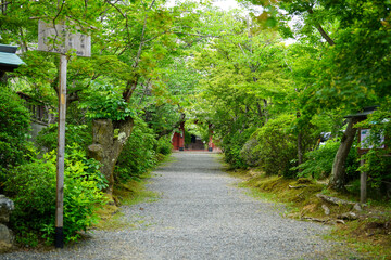 京都鷹峯常照寺の参道