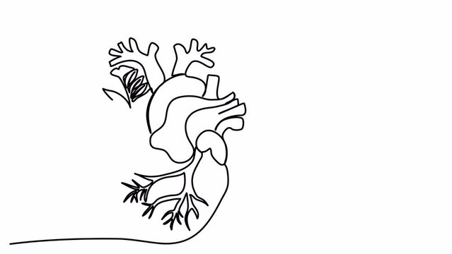 Heart one line drawing animation. Video clip with alpha channel.