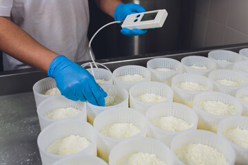 Close-up of a man forming cheese into the plastic molds at the small producing farm. acidity check...