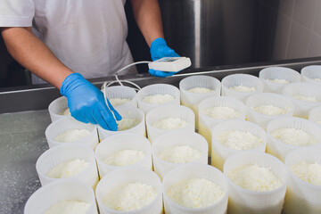 Close-up of a man forming cheese into the plastic molds at the small producing farm. acidity check...
