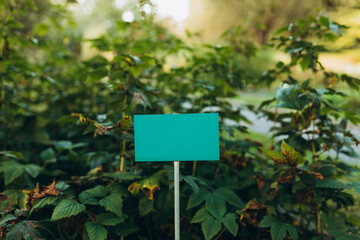 Closeup green metal sign at nature background, nameplate with a space for your text. Horizontal banner. Empty Plant Label