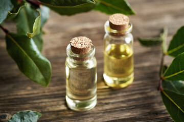 Two bottles of aromatherapy essential oil with fresh bay leaf