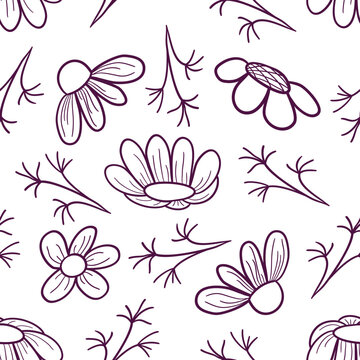Seamless floral pattern with daisy flowers on doodle technique vector illustration 