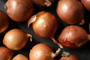 Colorful, ripe onio. Still life photography.