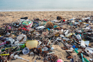 The sandy beach is littered with plastic waste