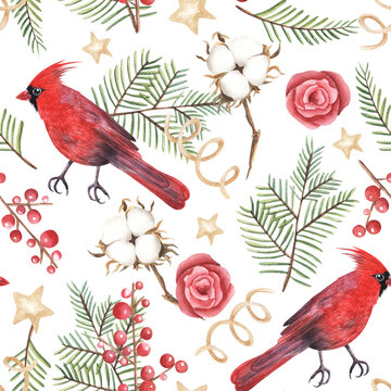 Seamless pattern. Cardinal bird and thuja twigs, cotton watercolor illustration. Print for greeting card, wallpaper, fabric, wrapping paper, banner. Hand drawn image