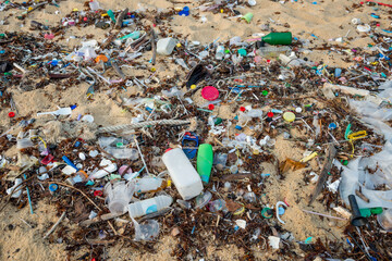 The sandy beach is littered with plastic waste