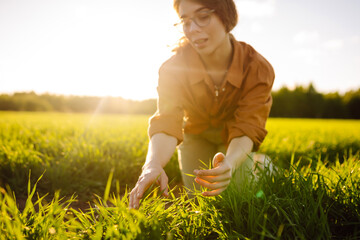 A woman farmer with a modern tablet evaluates the shoots with her hand, green sprouts of wheat in the field. Agriculture, gardening or ecology concept.