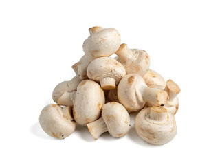 White mushroom on a transparent PNG background. White mushroom close-up.