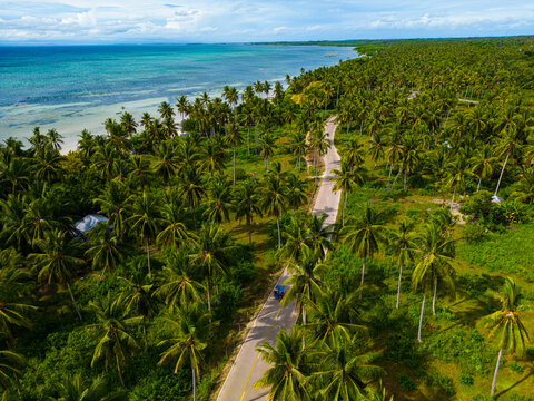 Palm-Lined Road Stretching Through Tropical Landscape on Bantayan Island, Philippines