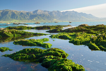 Küste auf der Kaikoura Peninsula, Seaward Kaikoura Range, Canterbury, Südinsel, Neuseeland,...