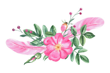 Watercolor composition from dog rose flowers, leaves, buds and pink feathers isolated on white background. Botanical hand drawn illustration.