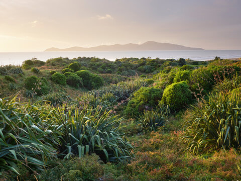 Queen Elizabeth Park, Paraparaumu, Kapiti Island, Wellington, Nordinsel, Neuseeland, Ozeanien