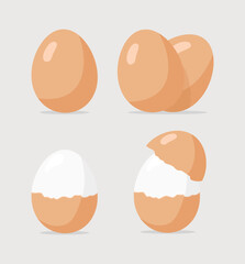 fresh eggs, boiled eggs icon vector illustration
