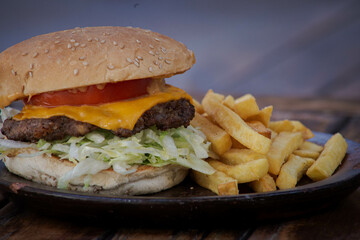 hamburger and fries