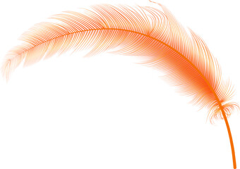 Flying realistic vector  goose or swan orange feathers.Ecological feather filler for pillows, blankets or jackets.Vector concept design.  © gala