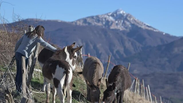 ESCURSIONE IN MONTAGNA