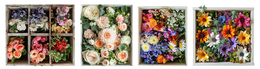 Flower boxes top view isolated on white or transparent background generative 