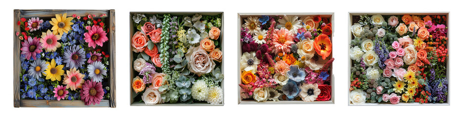 Flower boxes top view isolated on white or transparent background generative 