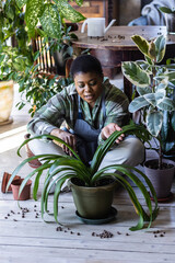 Portrait of beautiful African American woman enjoying life, happiness, simple pleasures, watering...